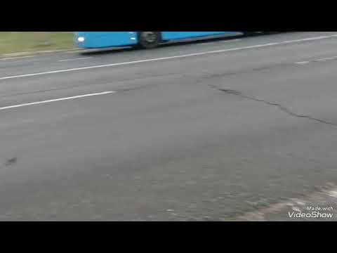 MZC-880 vadászat a 204-es buszon a bemondásokkal