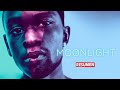 Moonlight Luz De Luna En 3 Minutos