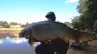 Pesqueiro Espelho D Agua Pescaria de Ultralight Carpas pincacharas pirararas  corimbas e jundias