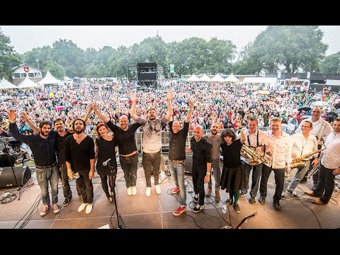 Golden Circle - Honig