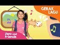 Lagu Anak Cicak Cicak Di Dinding Gerak Dan Lagu