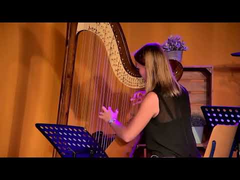 Medley Opwekking 303 Jezus ik houd van U - Opwekking 205 U Heer bent wonderschoon HARP