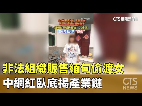 非法組織販售緬甸偷渡女　中網紅臥底揭產業鏈