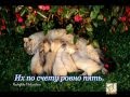 Котята (стихи С. Михалкова) 