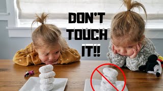 DON&#39;T TOUCH IT CHALLENGE with TWINS