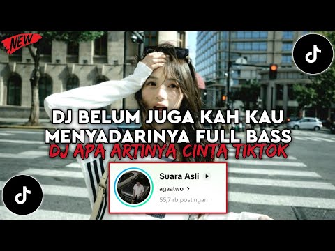 DJ BELUM JUGA KAH KAU MENYADARINYA FULL BASS | DJ APA ARTINYA CINTA MELLY GOESLAW VIRAL TIKTOK 