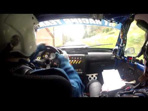 33° Rally Day del Carnevale 2014 Della Pina   Lertora Cameracar