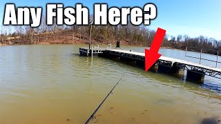 My First Time Fishing Here in Months (Beginning of a New Season)