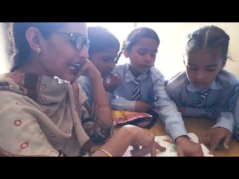 fruits name Or Vegetables name 46