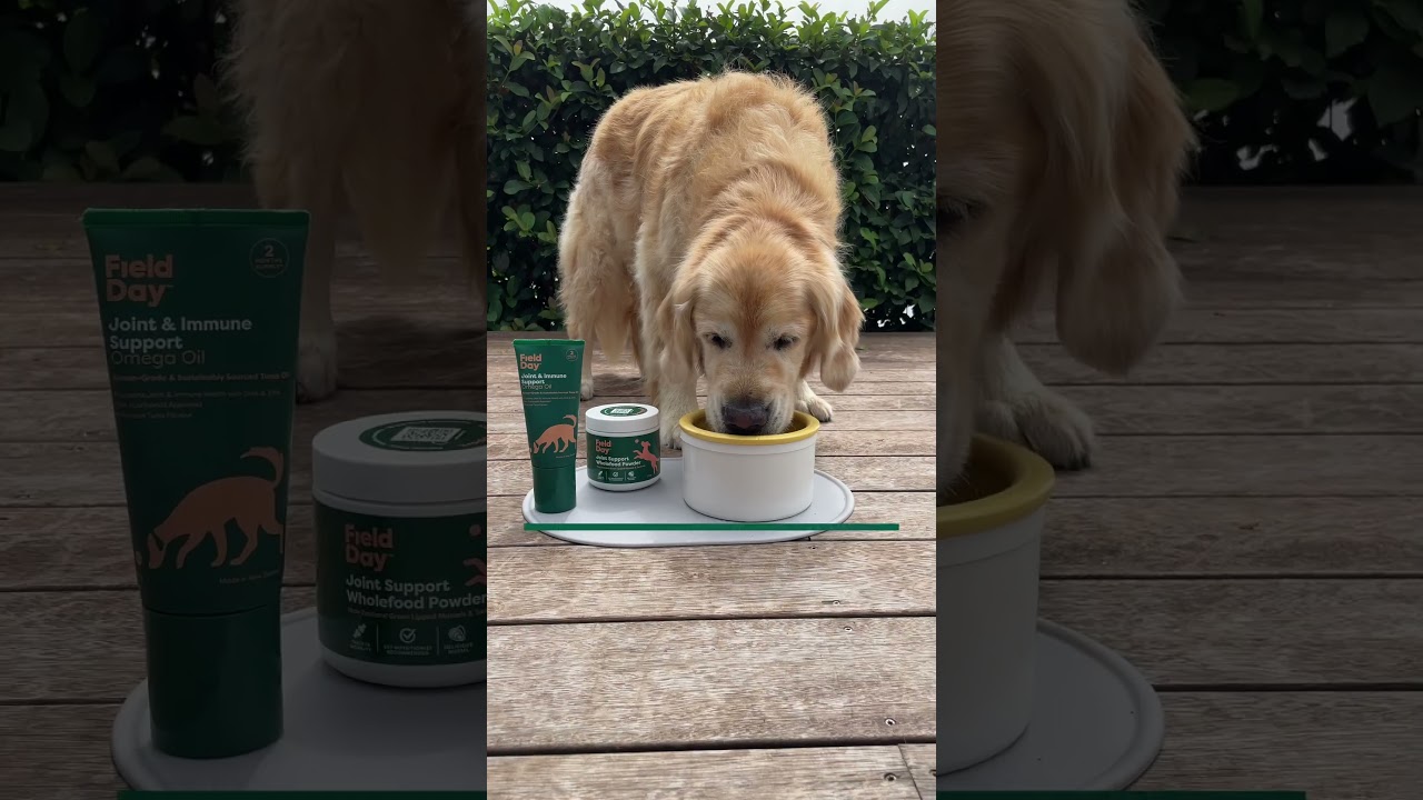 Field Day Joint & Ageing Bundle