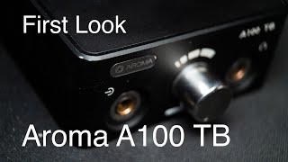 First Look 18: Aroma Audio A100 TB Amplifier
