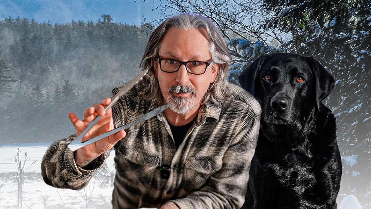 Starting Over With A Dog and A Dream