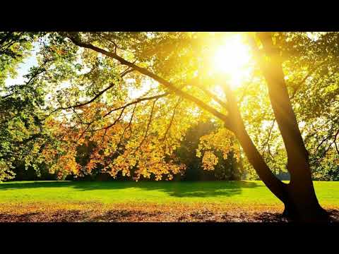 Daniel si Anca Neaga - În fiecare zi