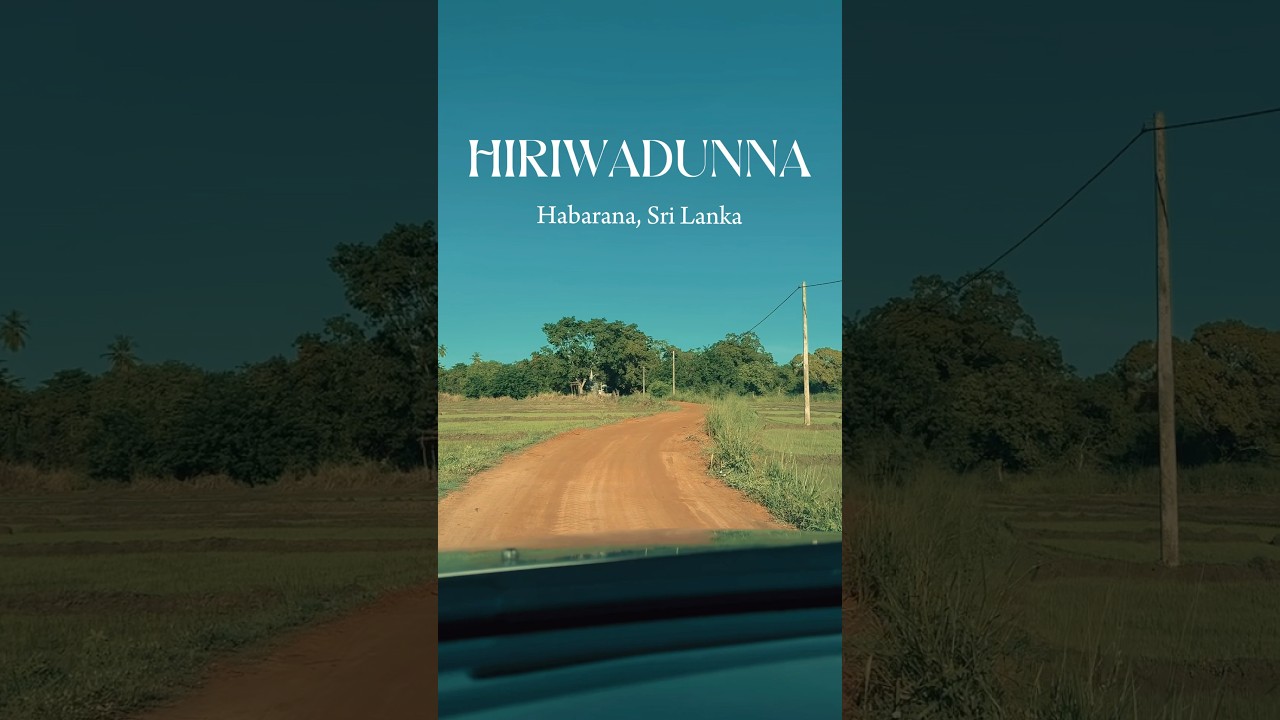 YouTube Short thumbnail