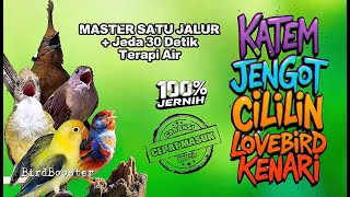 Download lagu 🔴LIVE 24 JAM !! MASTERAN BURUNG SATU JALUR DENGAN JEDA TERAPI AIR 100% CEPAT MASUK!! mp3