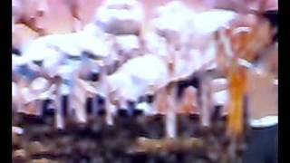 Bubblegum - The Stunners