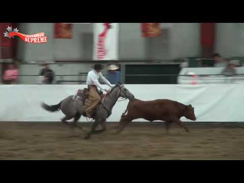 2017 CS Open Snaffle Bit Futurity