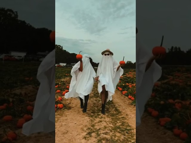 Vídeo relacionado con Ghost Just Waiting for Halloween with Pumpkin Camiseta