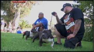 .45 Vs Lil Sinner (Production Stack off video )