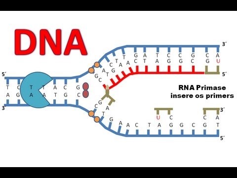 Replicação do DNA