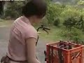 Istri Selingkuh Japanes