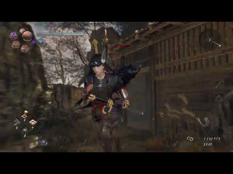 NIOH 2 pt48