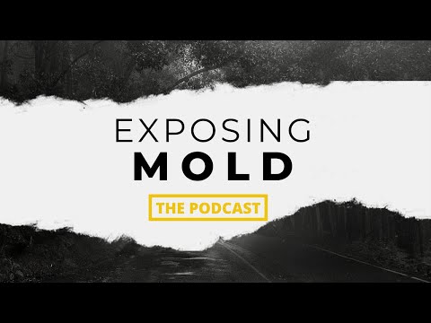 Episode 105 - Testing for Mold With an ERMI with Gianni Rossini