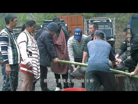 精彩影片