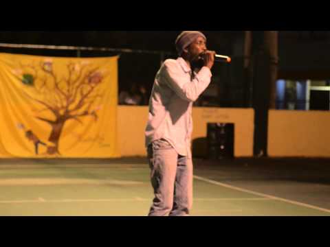 Promise No Promises at the Emperor's Coronation Celebration 2014