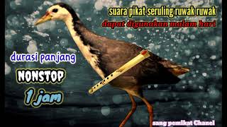 Download lagu suara pikat ruwak²malam seruling bambu mantap mp3