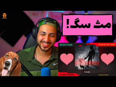 CANIS FT THE DON & QAZULE "FARDASHO" REACTION - واکنش به ترک «فرداشو» از کنیس ، د دان و غزاله