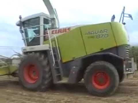 Snick: Mais hakselen.