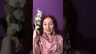 ❤️ Техника за защита от чужда негативна енергия