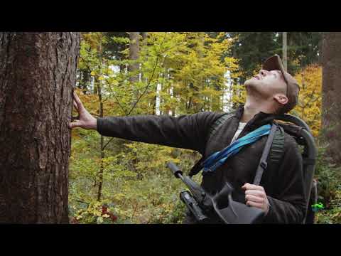 Effektive Schwarzwildbejagung – Der Klettersitz