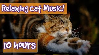 Relaxing Music for Cats with Nature Sounds! Soothing Music to Calm Dogs and Get Rid of Anxiety! 🐈💤