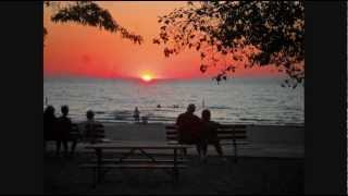 Bryan Ferry &amp; Roxy  Music - Taxi