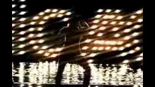 Shawnna feat Ludacris Shake dat shit High Quality 161968fa