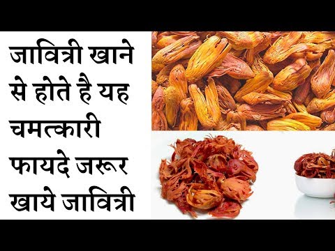 Amazing health benefits of mace spice javitri