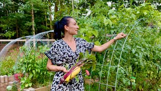 What Grows in My Garden | Liene Photo Printer | Heghineh