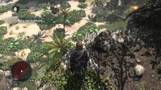 preview picture of video 'Assassin's Creed IV Black Flag PC Gameplay GTX680 i7 3770'