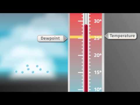 VFR into IMC: Temperature and Dewpoint