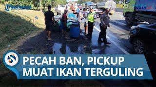 Download lagu Kecelakaan di Tol Sidoarjo-Porong, Pecah Ban dan Oleng, Mobil Pickup Muatan Ikan Terguling mp3 Download lagu Kecelakaan di Tol Sidoarjo-Porong, Pecah Ban dan Oleng, Mobil Pickup Muatan Ikan Terguling mp3