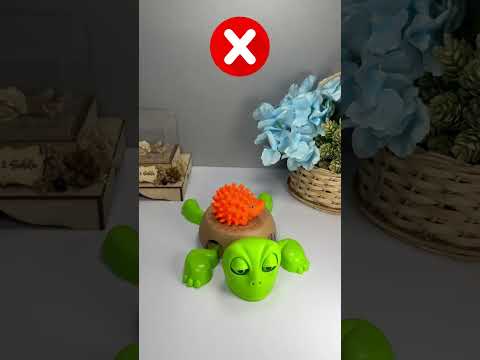 Turtle Coaster - Cute adorable turtles #turtle #coaster #turtlecoaster #fyp part 99