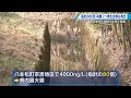 指針の８０倍の有機フッ素化合物検出!!「付近の井戸水は飲まないように」東広島市の瀬野川の源流