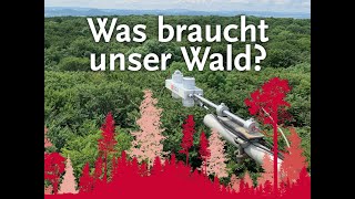 Was braucht unser Wald?
