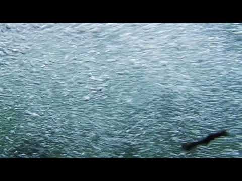 Javier Marimon -Tangente Eo [CRSCNT02]