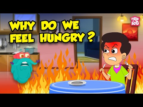 Why Do We Feel Hungry? | What Happens in Your Body When You're Hungry? | Ghrelin Hormone | Dr Binocs