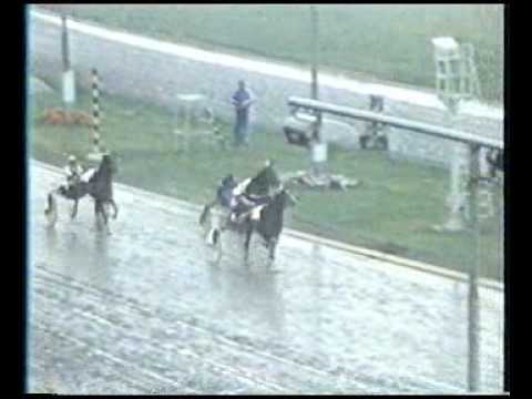 Åby Stora Pris 1981 - Ideal du Gazeau / Eugene Lefévre