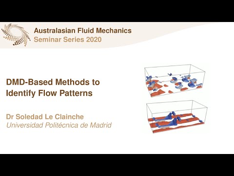 AFMS Webinar 2020 #16 - Dr Soledad Le Clainche (Universidad Politécnica de Madrid)
