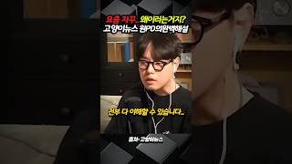 고양이뉴스가 설명해주는 모략전도